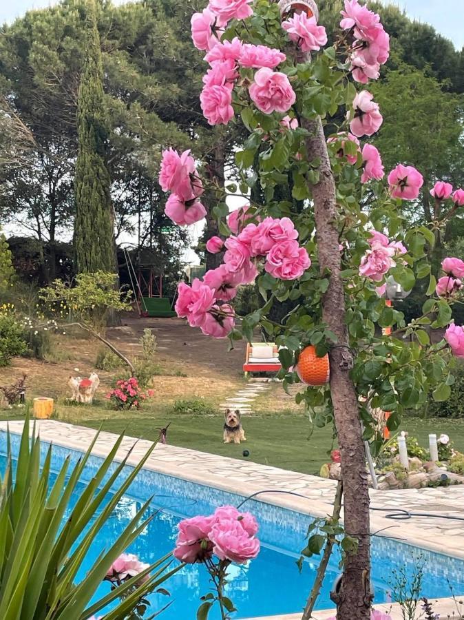 Arcantis Hotel La Gentillhommiere Trebes Ngoại thất bức ảnh